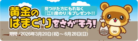 黄金のはまぐりをさがそう